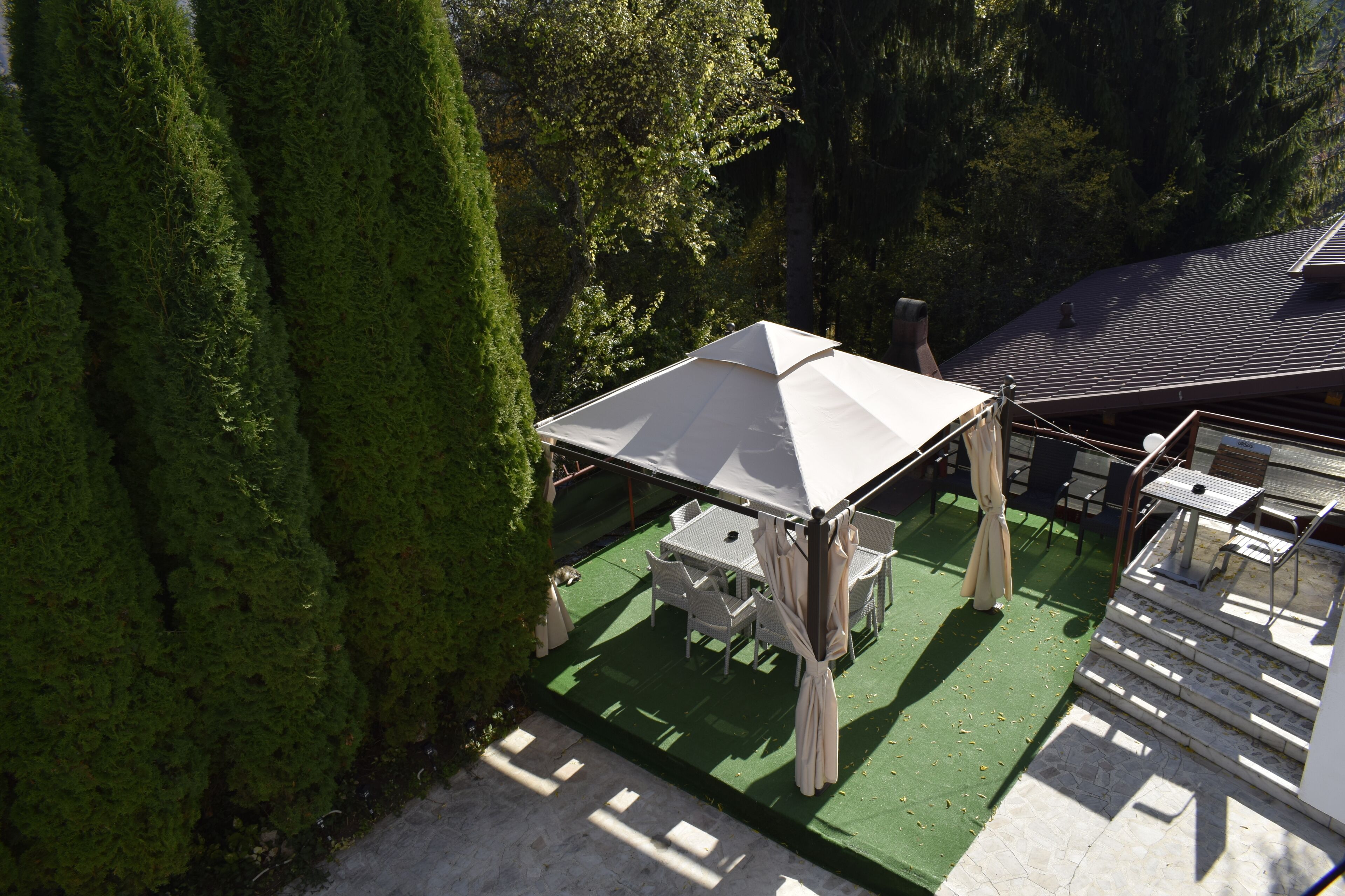Un espacio de patio con mesa y sillas bajo un toldo, rodeado de follaje.