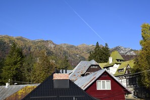 Superior Double Room | View from room - Pensiunea Nicolas (Sinaia)