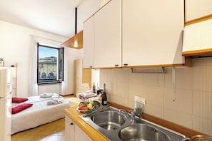 Family Apartment, Multiple Bedrooms, Lakeside (Lake View Historical Center Apartment) | Private kitchen | Full-sized fridge, microwave, stovetop, electric kettle