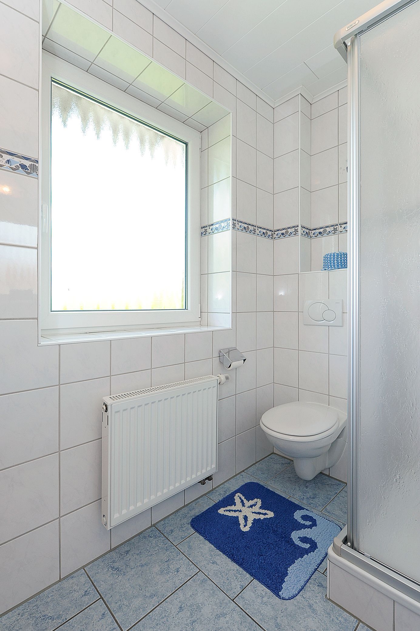 A bathroom with a white toilet, a window with a frosted glass, a blue shower mat, and a white radiator.