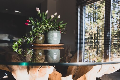 Gîte de Luxe en Ardennes