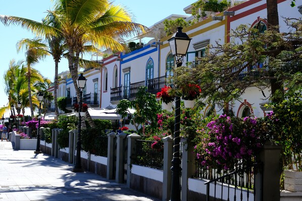 المنطقة المحيطة بالمنشأة