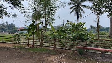 Jardín