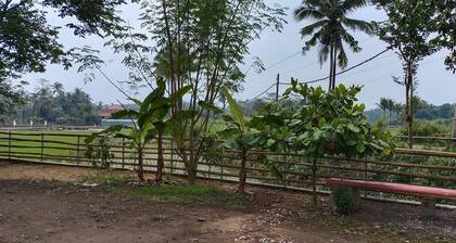 Homestay Griya Merpil - Hostel