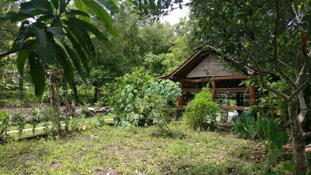 Un rustico chalet in legno circondato da fitta vegetazione e alberi.