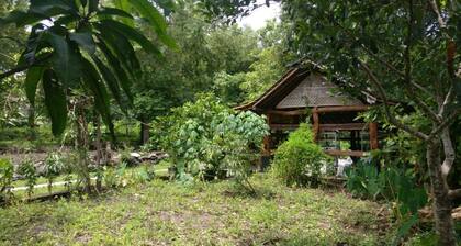 Homestay Miftah Syariah - Hostel