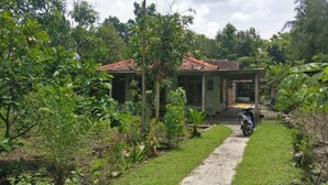 Una casa rustica con tetto in tegole, immersa nel verde e con un vialetto che conduce all'ingresso.
