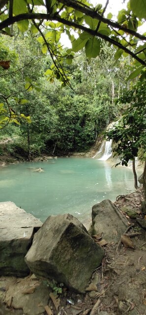 Beach - Homestay Dulngori Syariah (Bantul)