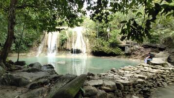 Ecotours