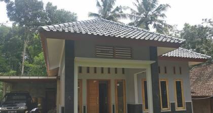 Elvira Homestay - Hostel