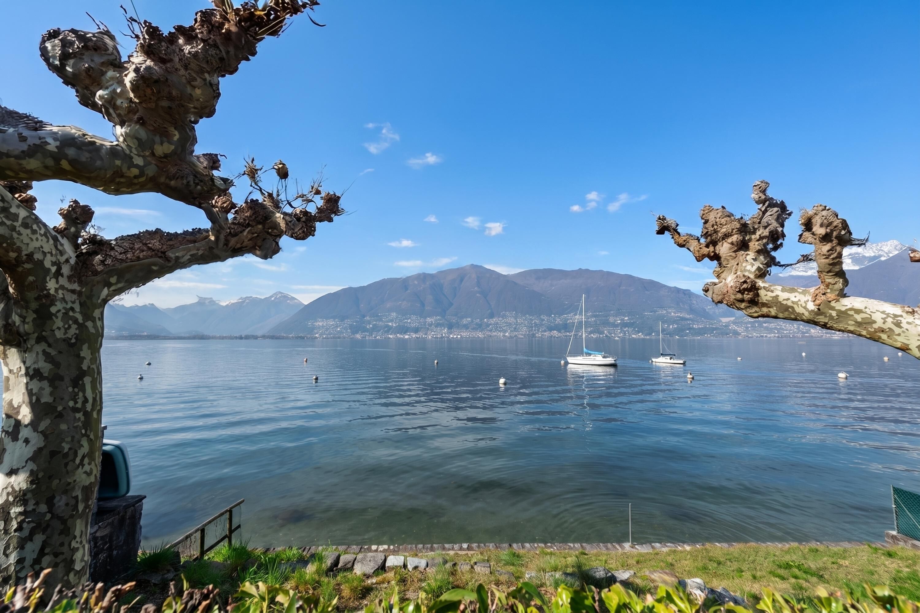 A lake with boats, mountains in the background, and a tree in the foreground.