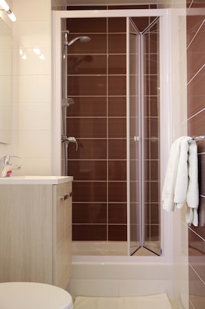 Chambre Familiale | Douche de la salle de bain