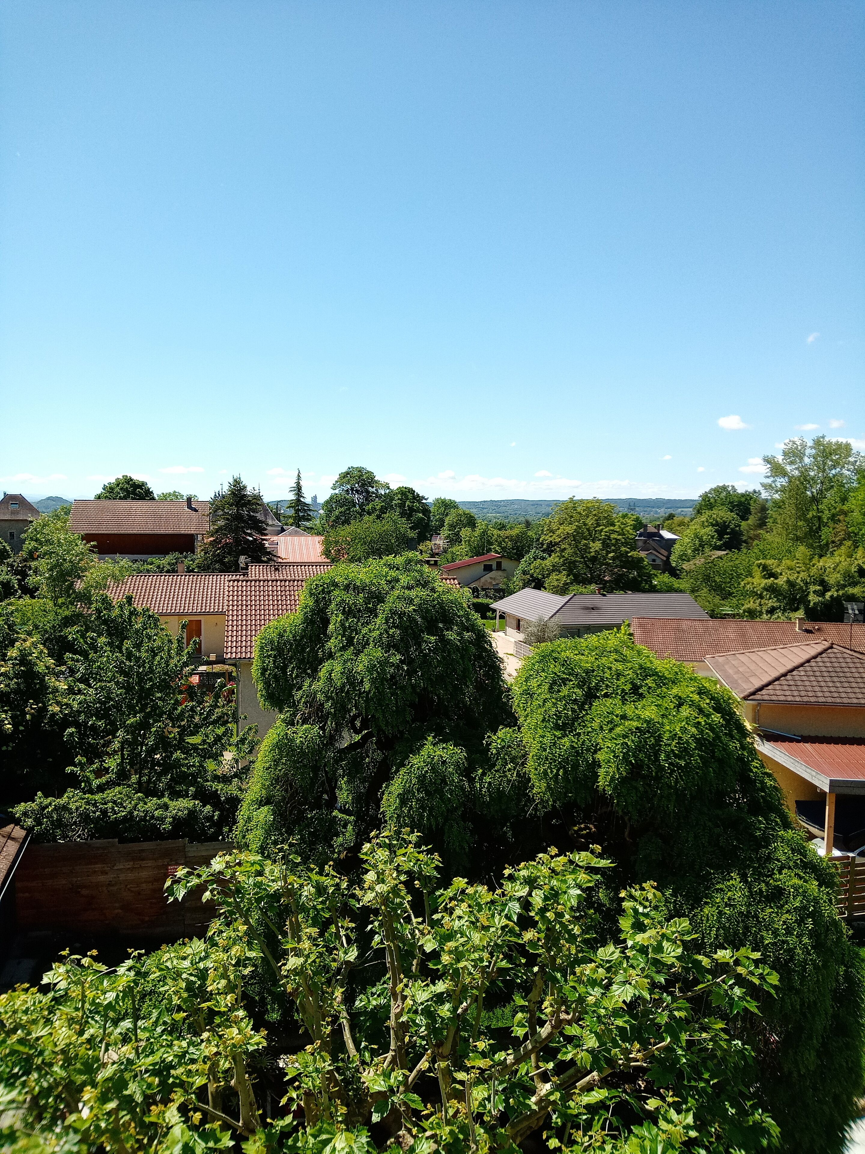 A residential area with houses, trees, and a clear blue sky.