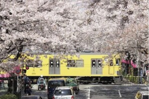 Parking - ARI2 / Nakano-ku Tokyo (Nakano-ku)