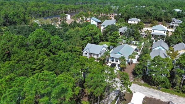 A residential area with multiple houses surrounded by dense forest.