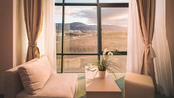Standard Double or Twin Room (City or Mountain View) | 1 bedroom, hypo-allergenic bedding, minibar, desk