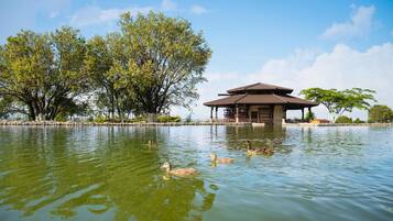 Indoor pool, seasonal outdoor pool, pool umbrellas, sun loungers