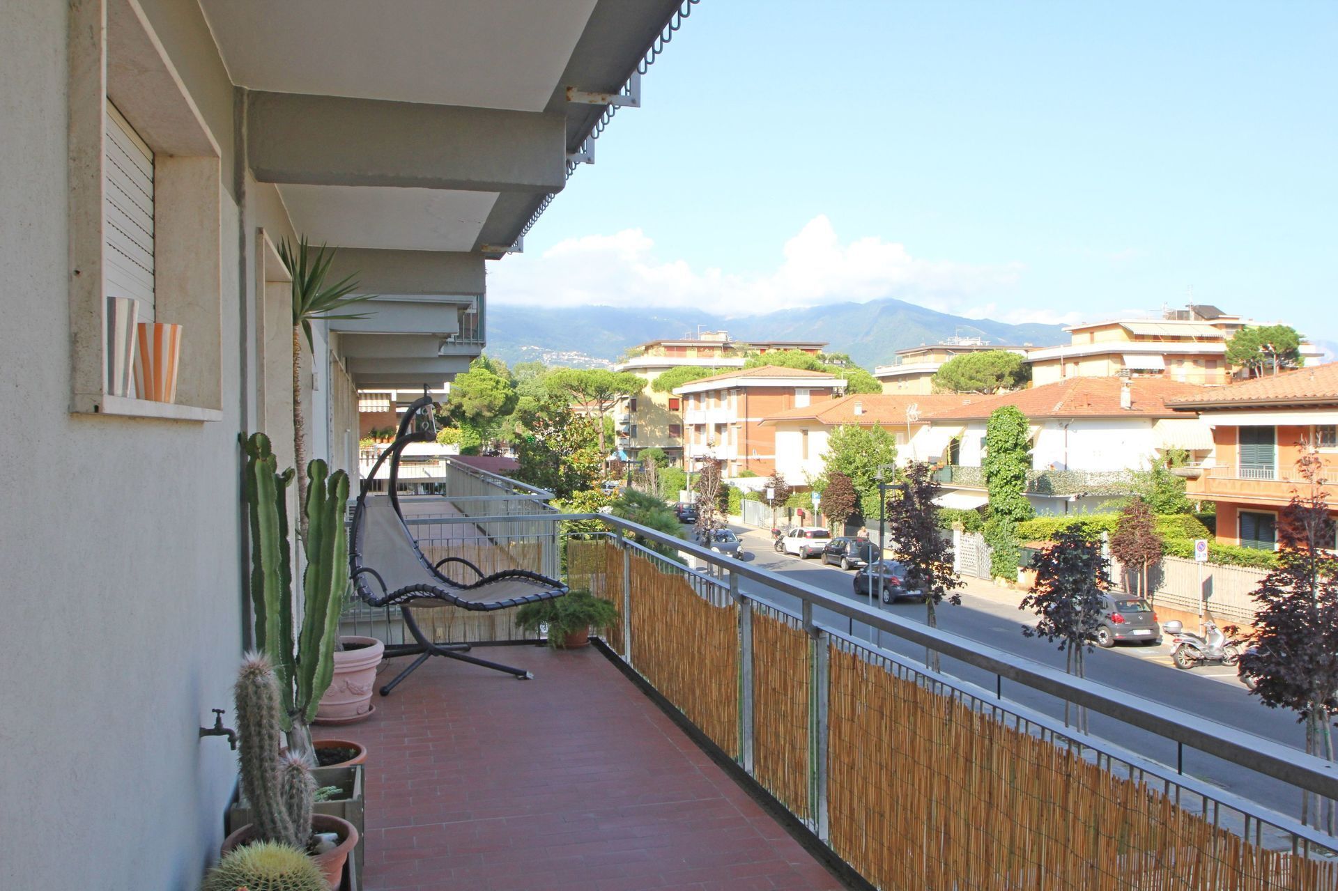 A balcony with a view of a residential area, a cactus plant, and a hammock.