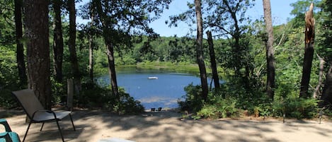 A lakeside campsite with chairs and tables, surrounded by trees and a clear view of the lake.