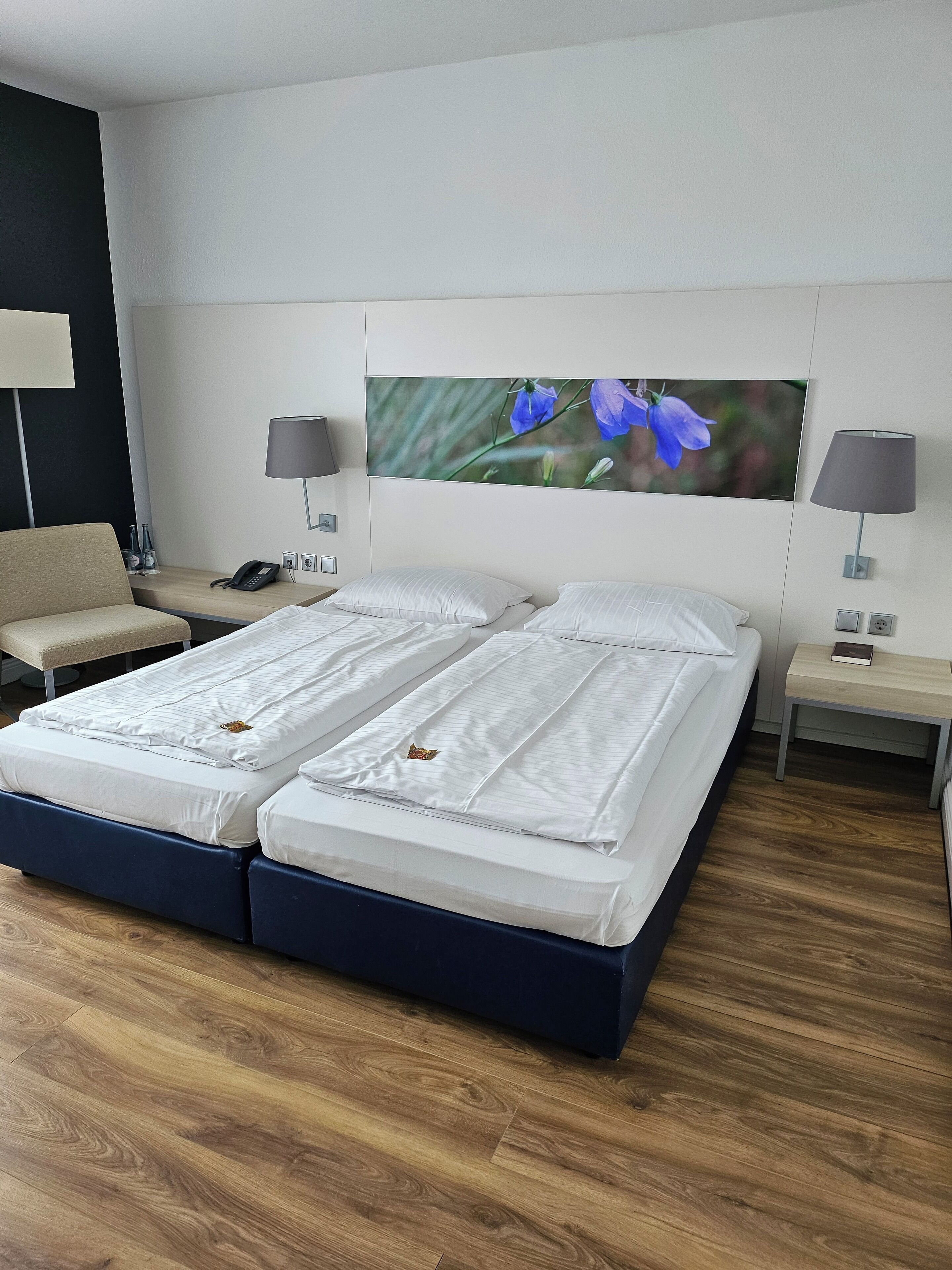 Ropa de cama hipoalergénica y tabla de planchar con plancha 