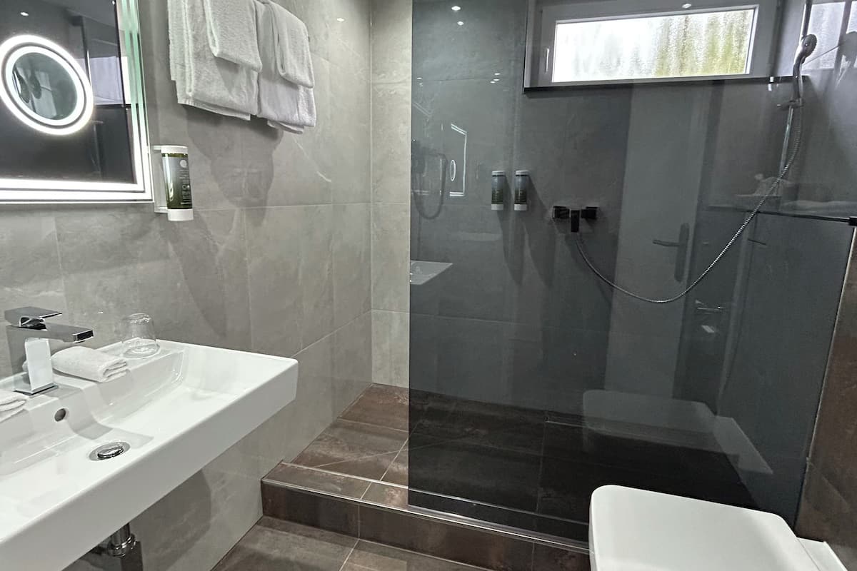 hair dryer, towels, soap, shampoo