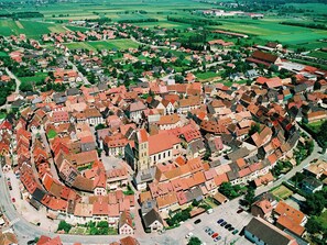 Exterior - Charming Apartment in the Medieval Village of Eguisheim (Eguisheim)