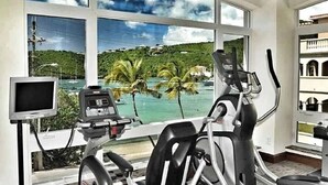 A gym with exercise equipment and a large window overlooking a tropical landscape with palm trees and a body of water.