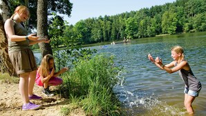 Billede uden beskrivelse, 3 af 17, knap