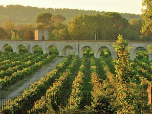 Exterior - Cozy Apartment With Dishwasher and Near Canal du Midi (Azille)