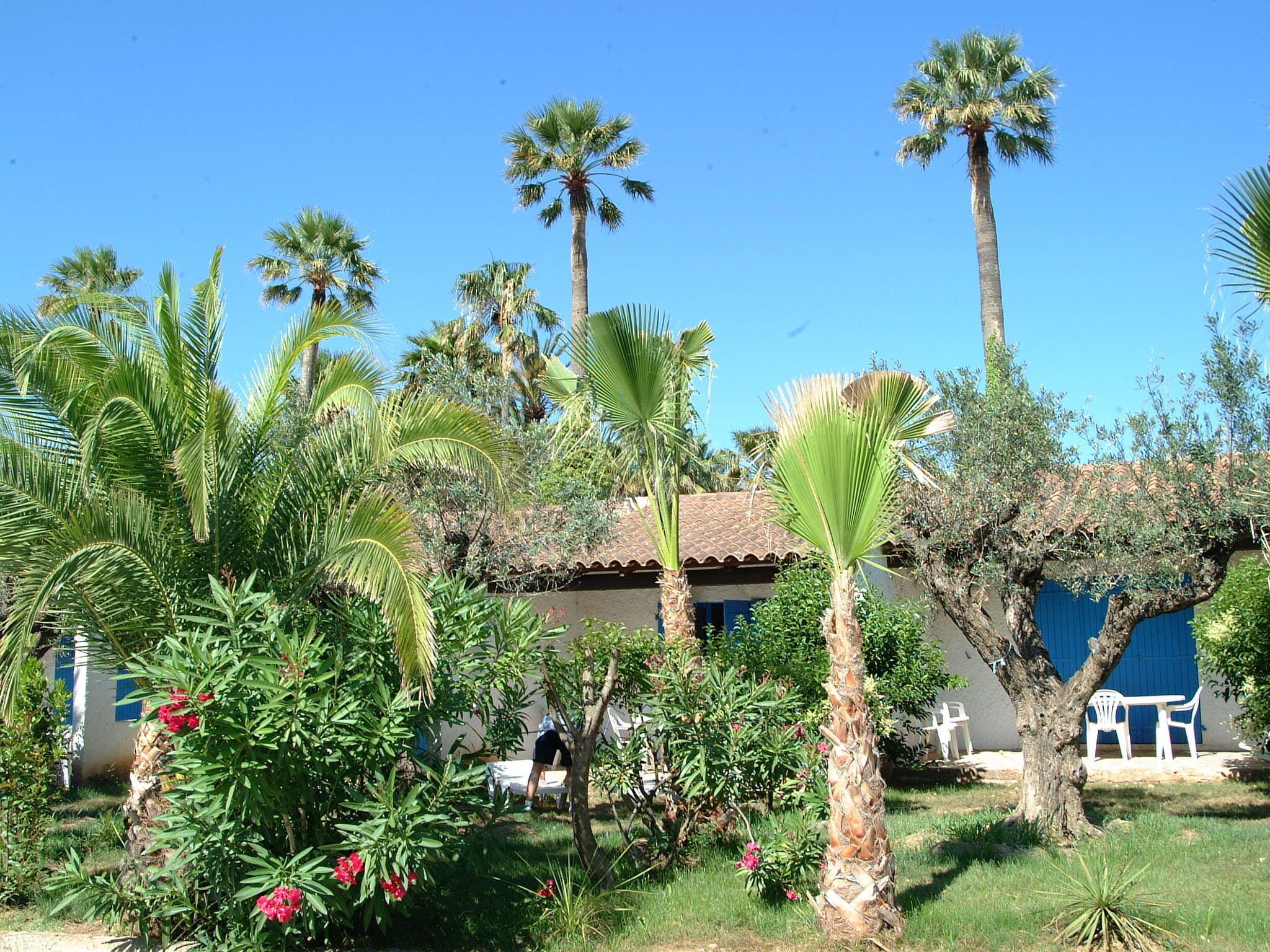 Ngoại thất