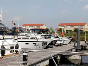 House | Marina - Tail-wagging Lake Escape (Heel)