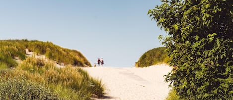 House | View from property