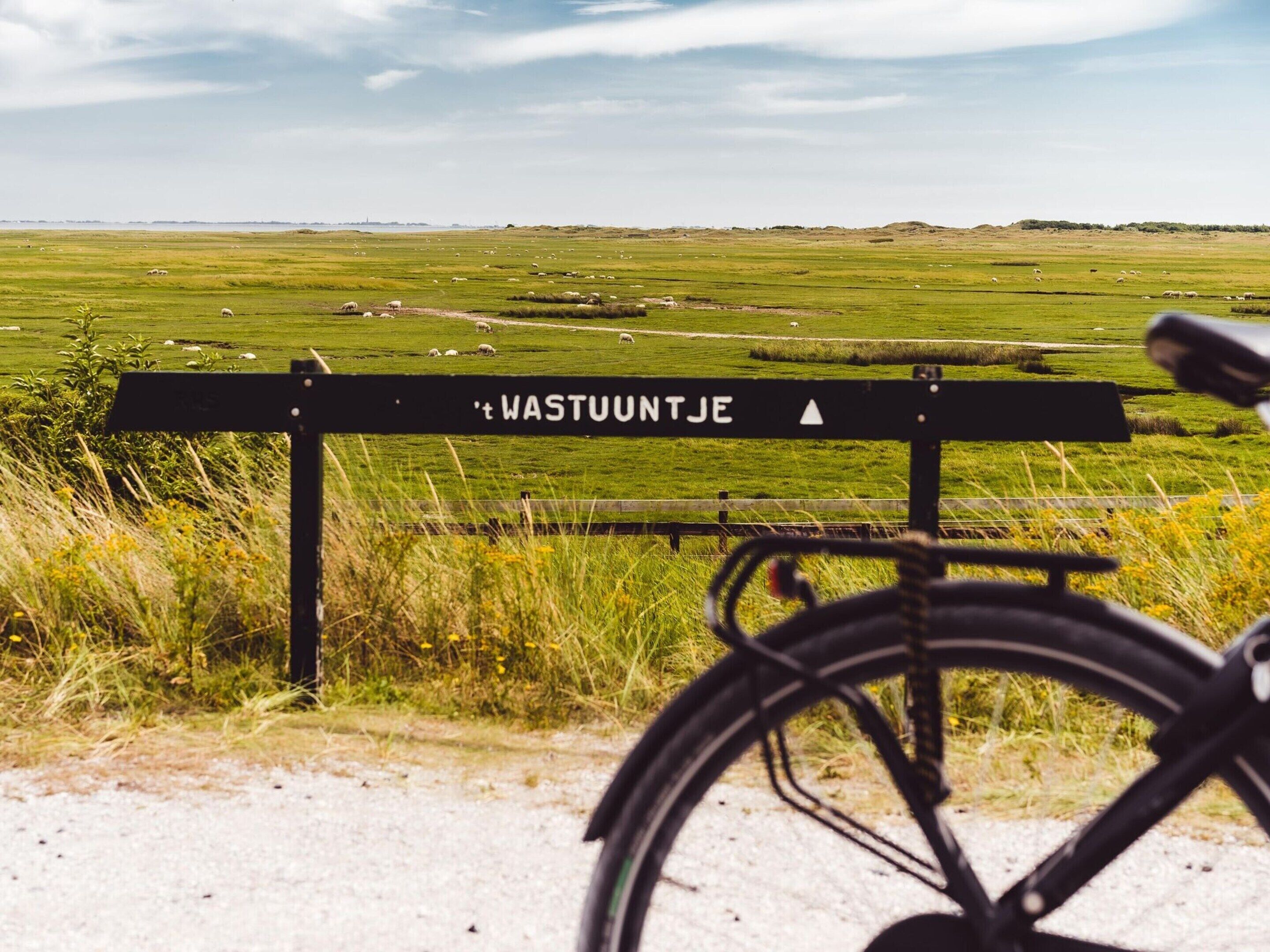 A signpost with 'WASTUUNTJE' and a directional arrow, a bicycle in the foreground, and a rural landscape with grazing sheep.