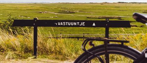 A signpost with 'WASTUUNTJE' and a directional arrow, a bicycle in the foreground, and a rural landscape with grazing sheep.