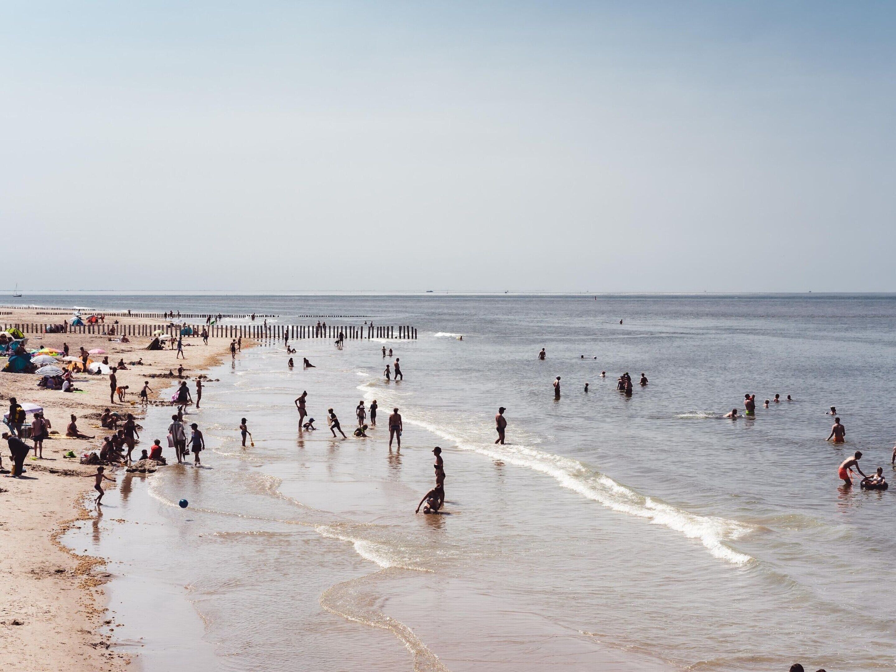 A beach with people swimming and playing in the water, a pier in the background, and umbrellas on the sand.
