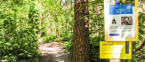 A forested hiking trail with a signboard.