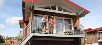 Detached Villa With Dishwasher Near Leeuwarden