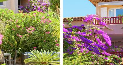Mediterranean Studio on the Gorgeous Peninsula of Giens