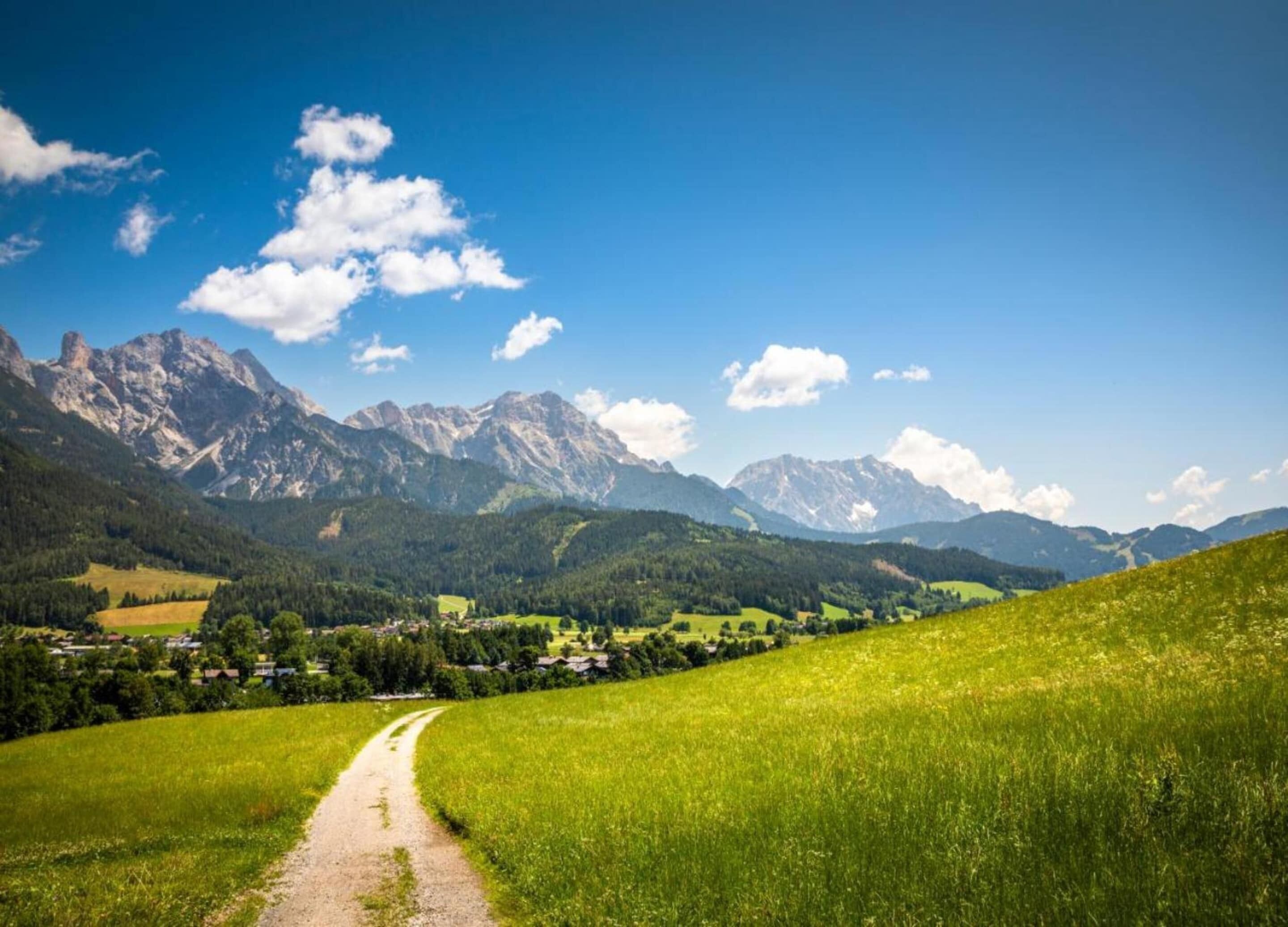 A rural landscape with a dirt path leading through a green field towards a village nestled among mountains.
