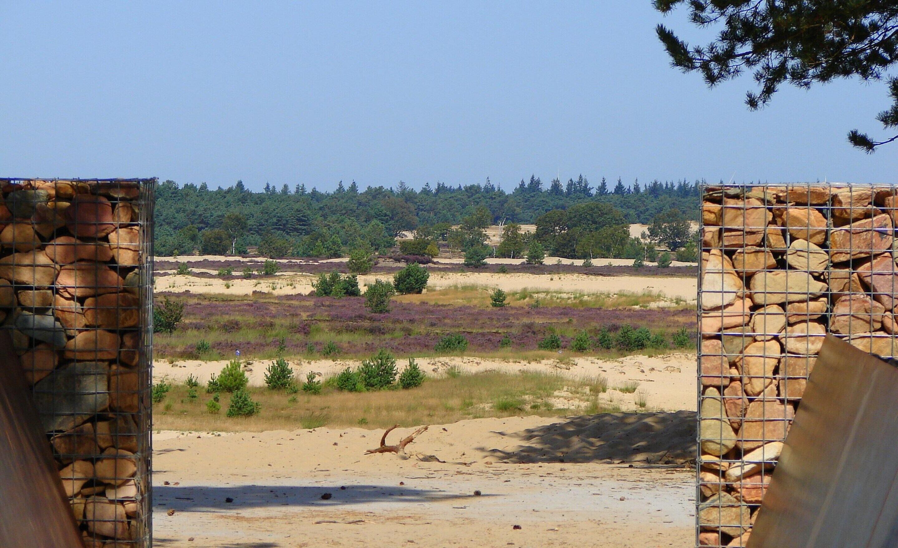 Blick durch eine Steinmauer auf eine sandige Landschaft, spärliche Vegetation und einen Wald im Hintergrund.