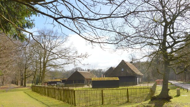Unclassified image, 1 of 39, button - Spacious Mansion near Lake in Ulvenhout (Ulvenhout)