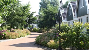A residential street with houses, a paved path, and lush greenery.