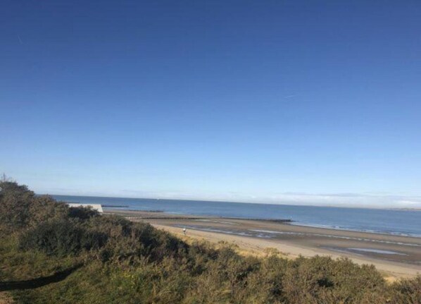 Eine Küstenlandschaft mit Strand, Vegetation und wolkenlosem Himmel.