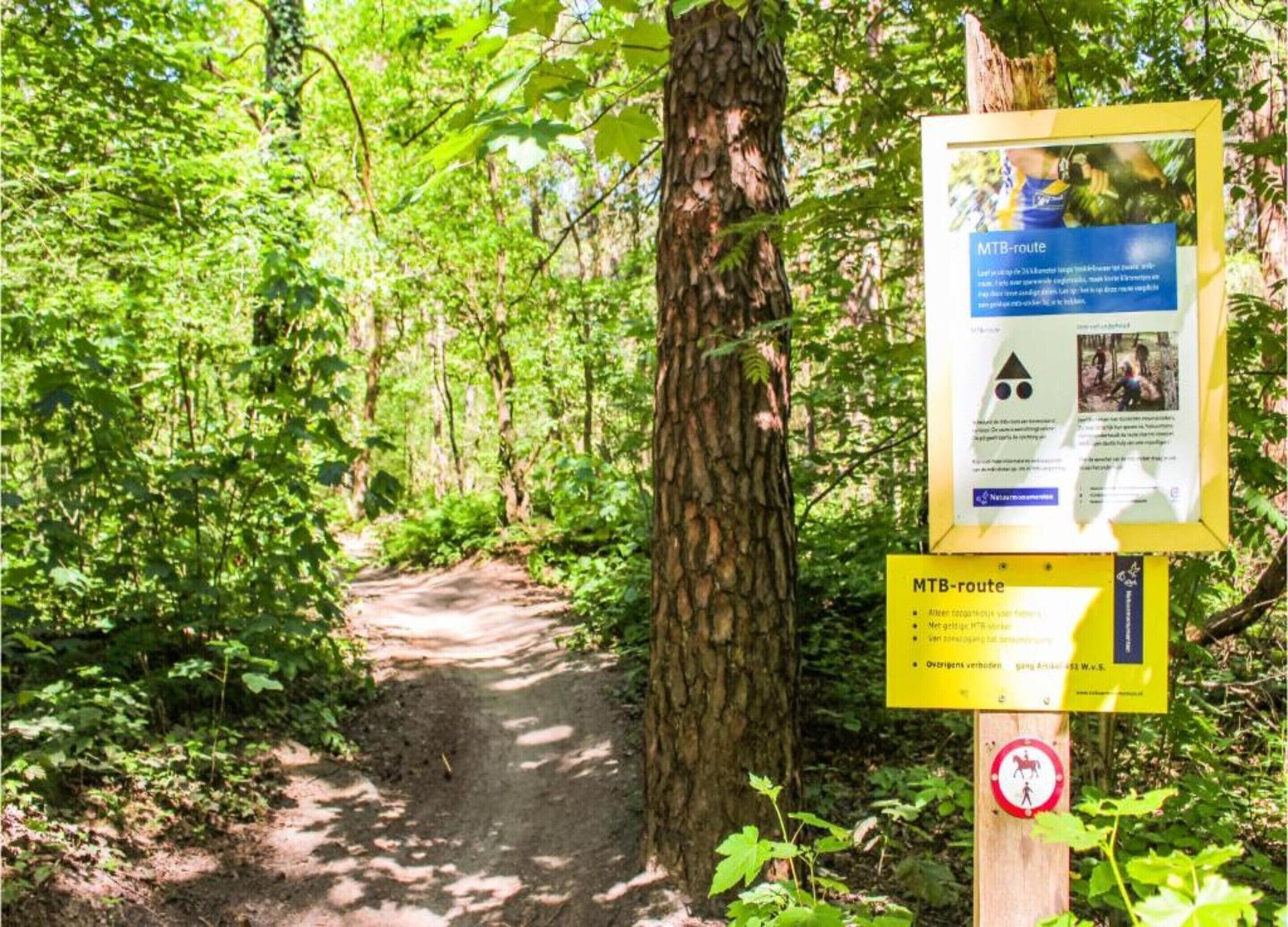 A forested hiking trail with a signboard.