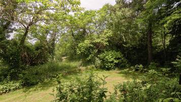 Cottage | View from property