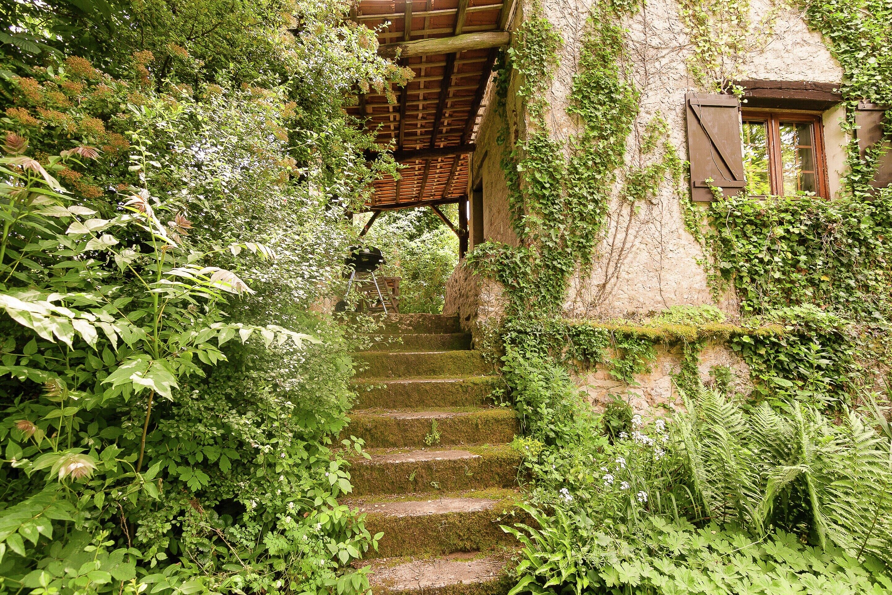 Cottage | Garden