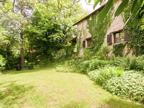 Garden - Cottage in Vezere Valley Near Lascaux Caves (Les Eyzies)