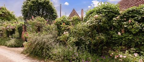 A rural road with a stone house, lush greenery, and flowering plants.