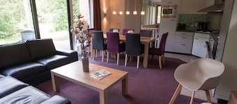 Comfortable Bungalow With a Fireplace, Near Assen