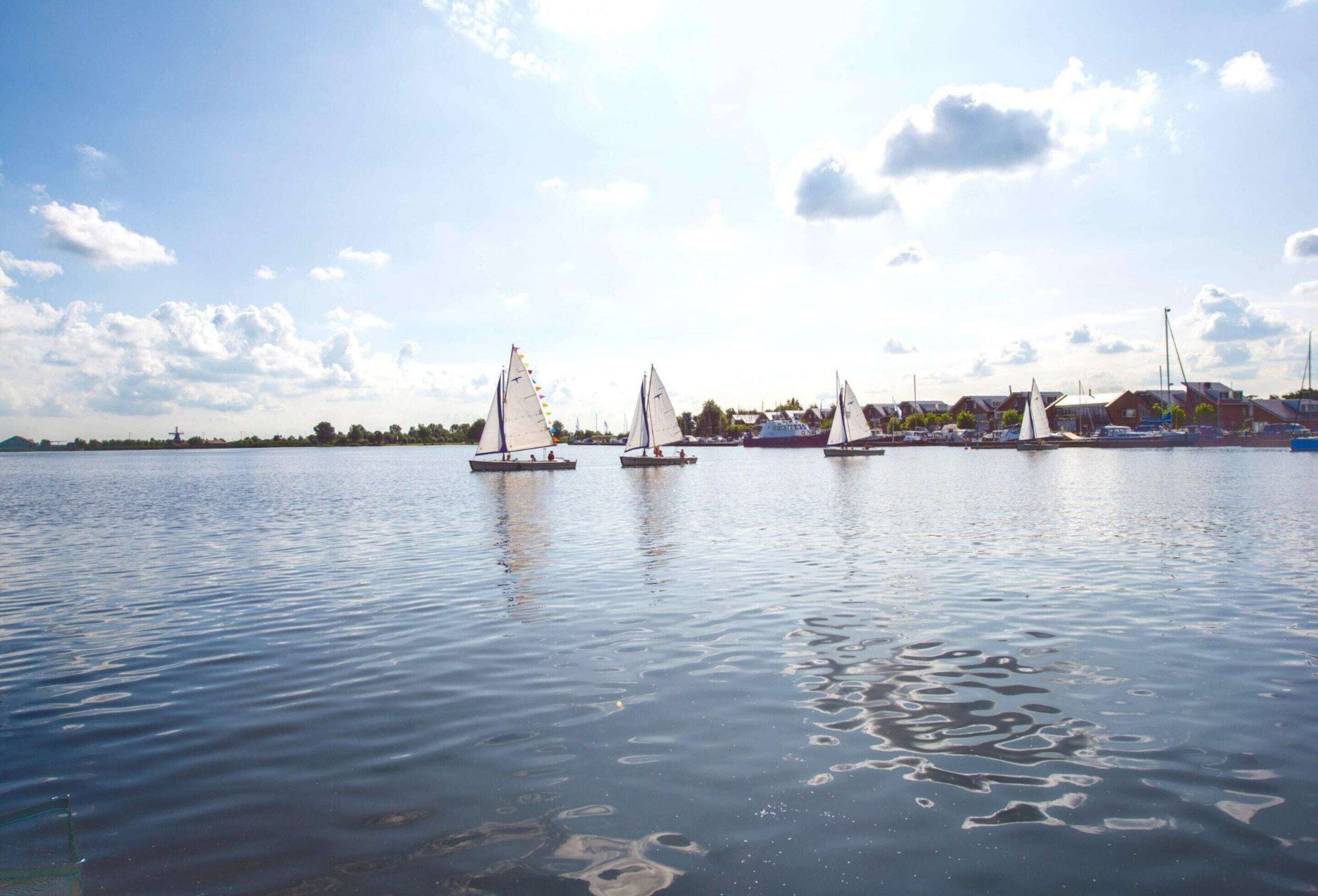 A calm lake with sailboats.